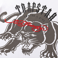 Decoded Tiger T-shirt